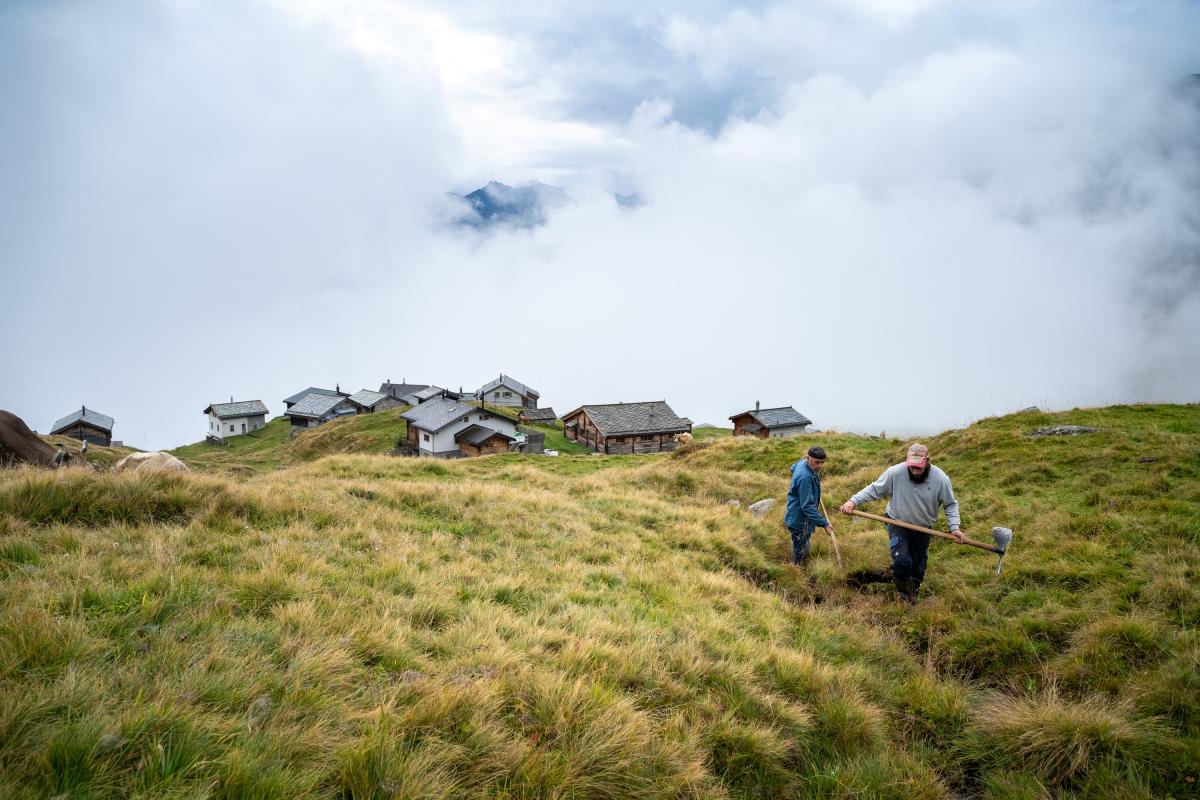 Alpwärch - Gemeinwerk auf der Alp