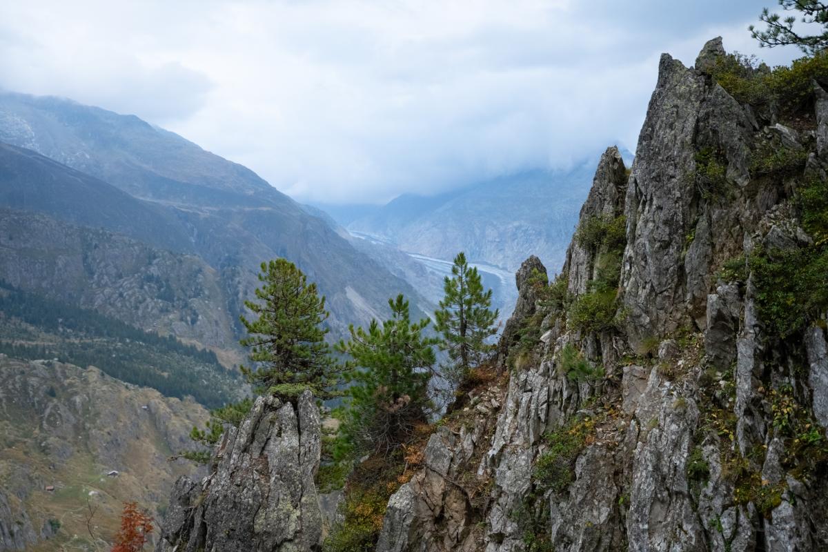 Inner-Aletschji - Die Schafalp