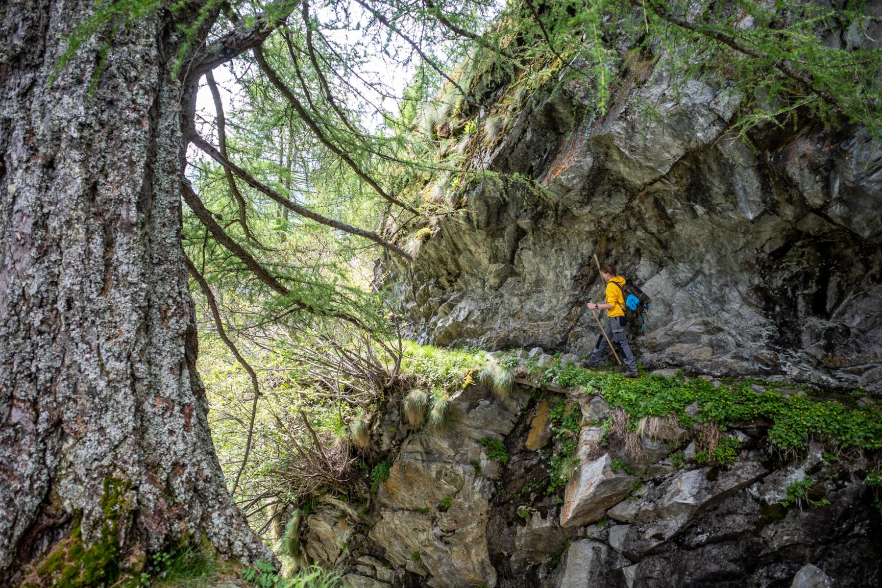 Die Wyssa führt wieder Wasser entlang des spektakulären Wanderweges.