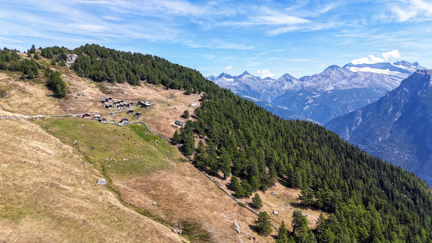 Die Geteilen-Alp Alp Brischeru oberhalb Mund.