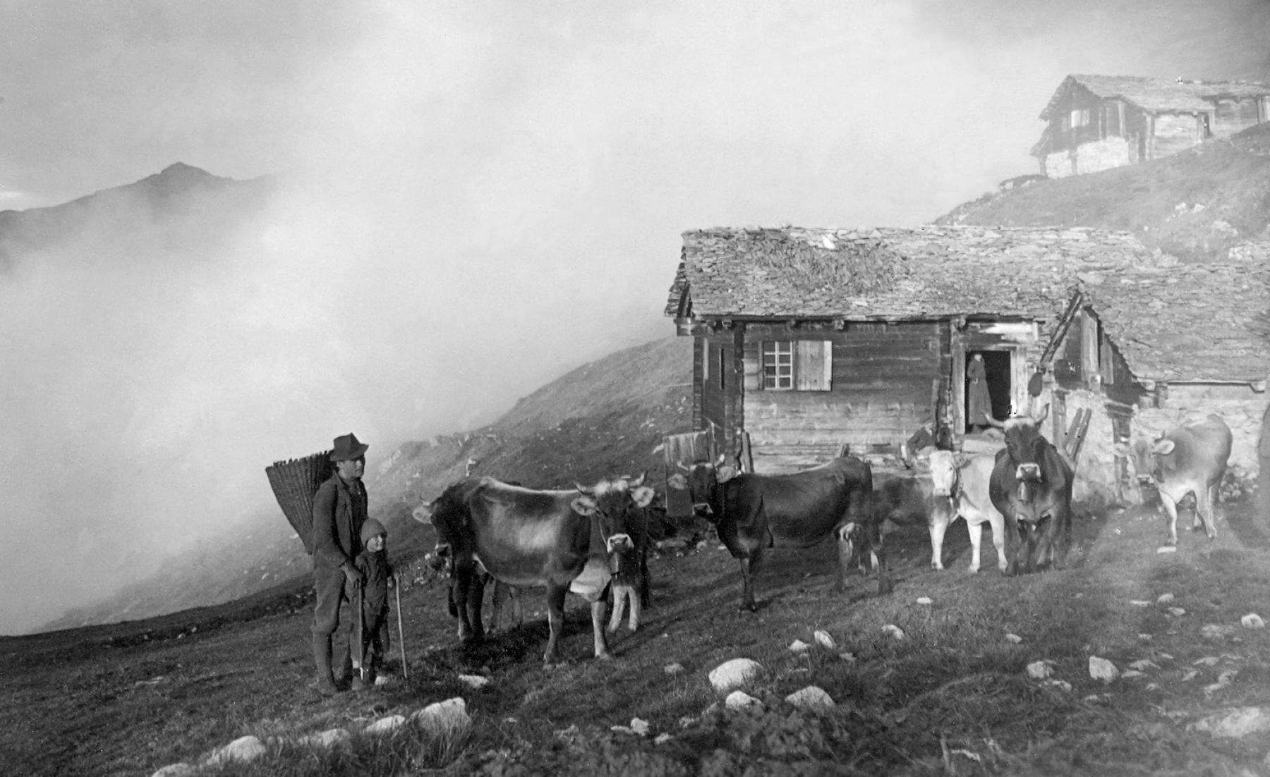 Auf der Alp Lüsga sind Prosper Eyer mit der «Tschiffra» und sein Sohn Gottfried
bereit für die Alpabfahrt. Foto: Biffiger