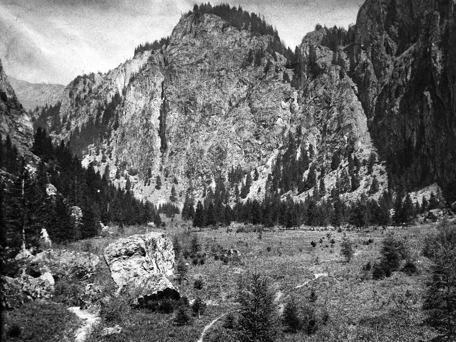 Photo von 1917 wo das Blindtälli noch eine grosse, offene Weidefläche war, die von den Bauern für ihre Rinder genutzt wurde.	