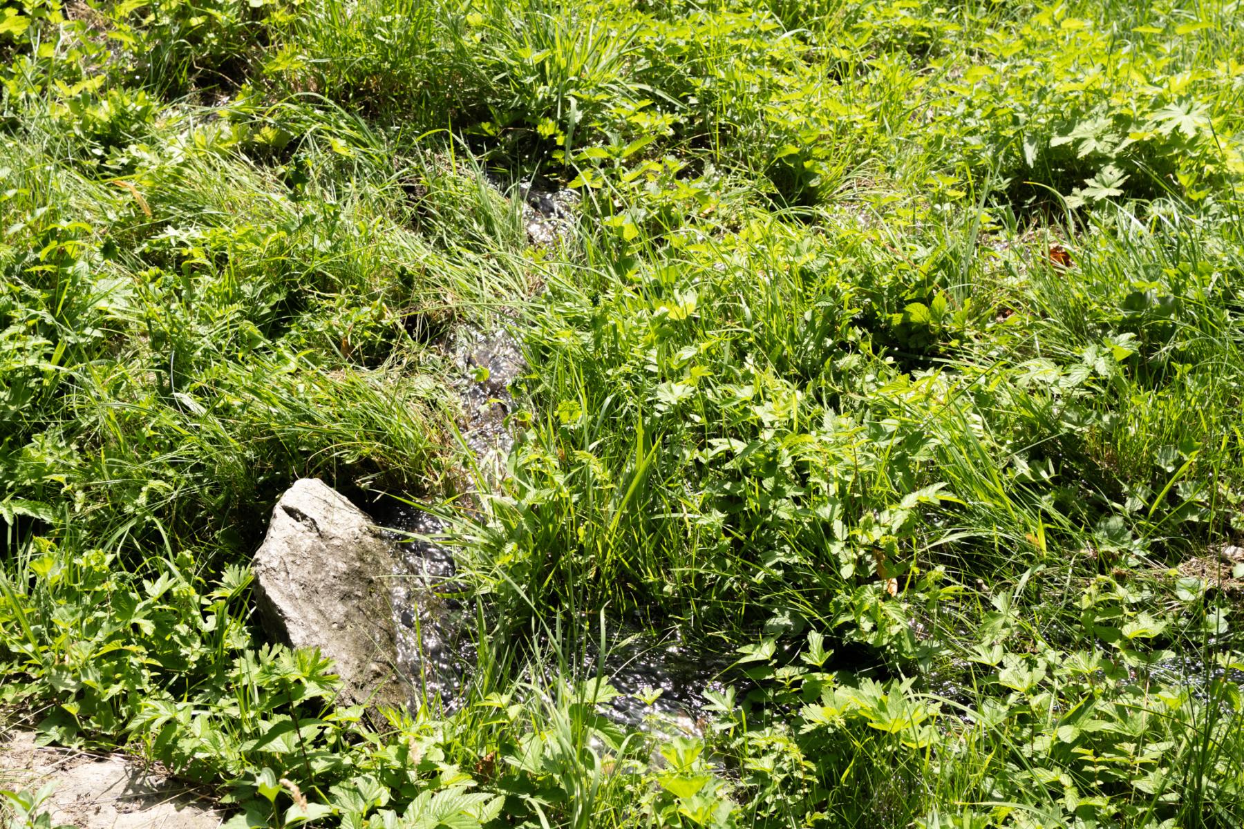 Flache Steine leiten das Wasser auf die Wiesen