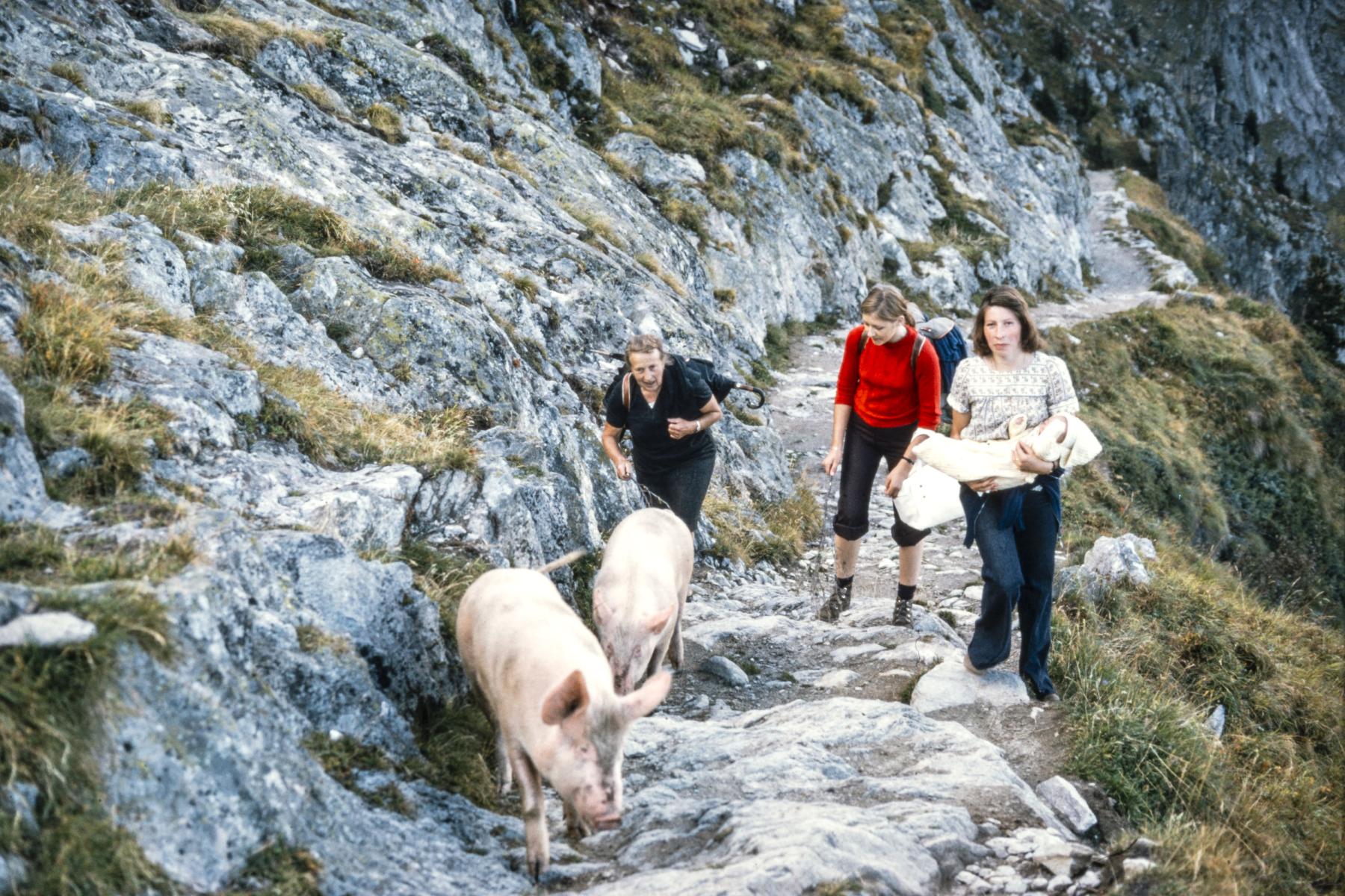 Familie Jossen auf dem Weg von der Voralpa auf die Belalp (Foto: Familie Jossen)