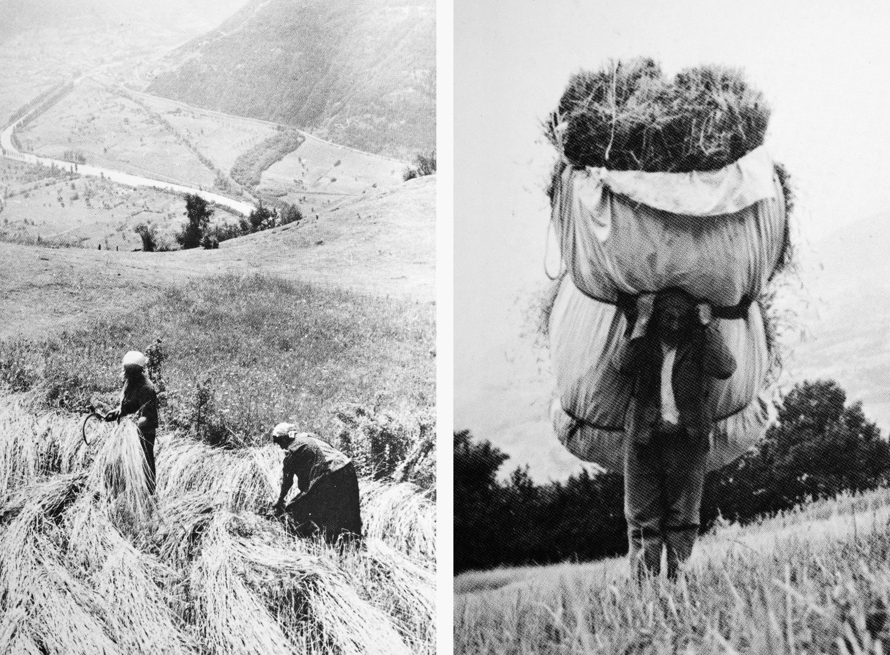 Nach der Ernte werden die Roggen-Garben in einem Tuch in den Stadel getragen.